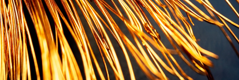 食品中蛋白質的測定|蛋白質檢測方法