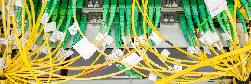 公共衛(wèi)生考研，這是最好的時期?。。?【2022為民實事系列評論】筑牢公共衛(wèi)生防護(hù)網(wǎng)，是須臾不可放松的大事 健明迪檢測