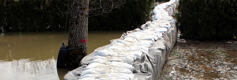 有機廢氣處理工程解析：以包裝印刷業為例